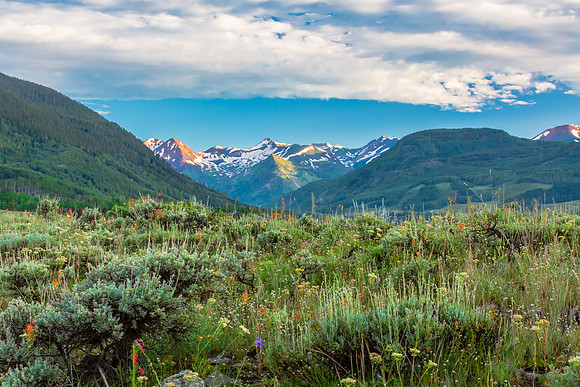 First Light, Paradise Divide, Hillside in Bloom; Crested Butte