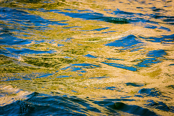 Reflected Light, Snake River, WY