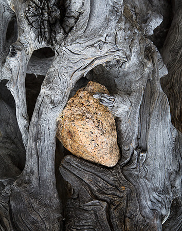A Heart of Stone, Driftwood, Redfish Lake