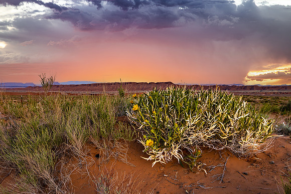 Hanksville
