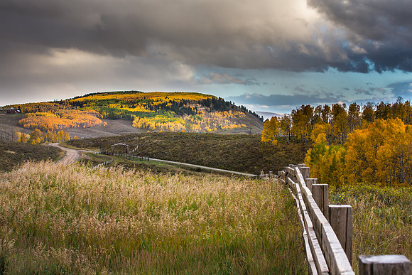 Fall: Fenceline, Ranchland, Aspens, Ohio Creek Valley