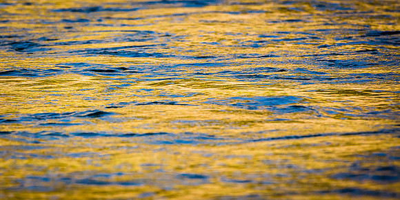 Reflected Light, Snake River, WY