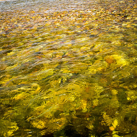 Reflected Light, Riverstones; Snake River, WY