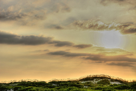 Sunrise, Backlit Grasses, Outer Banks