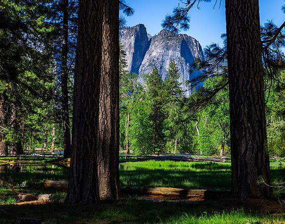 Yosemite NP