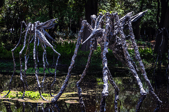 Botanical Gardens, Chapultepec Park