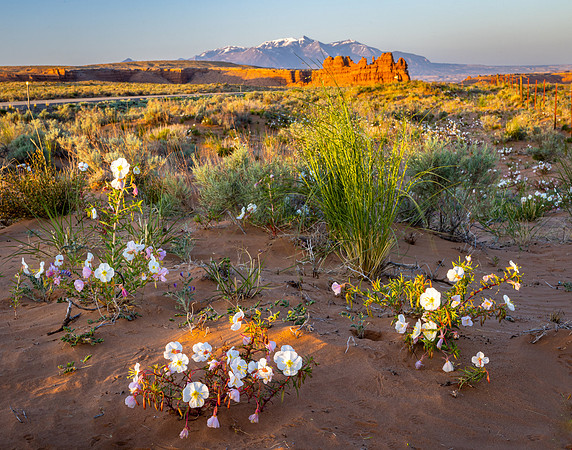 Hanksville