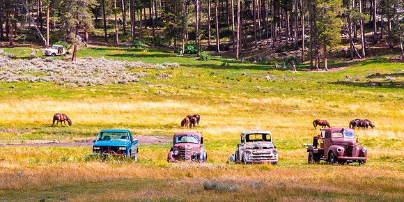 Out to Pasture, Trucks and Horses, Ohio City