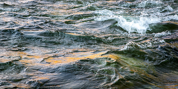 Reflected Light, Snake River, WY