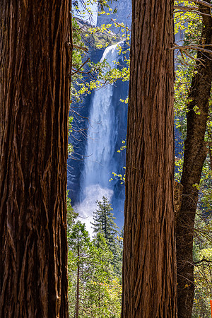 Yosemite NP