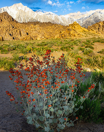 Alabama Hills, Sierra Nevada Mountains