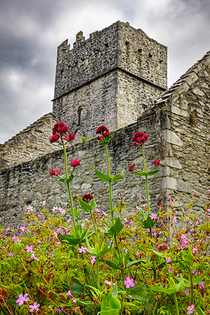 Muckross Friary