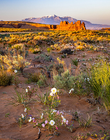 Hanksville