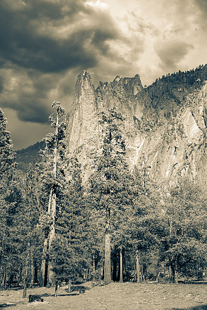 Yosemite NP