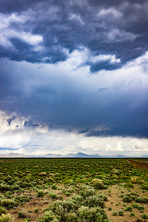HWY 50 Nevada