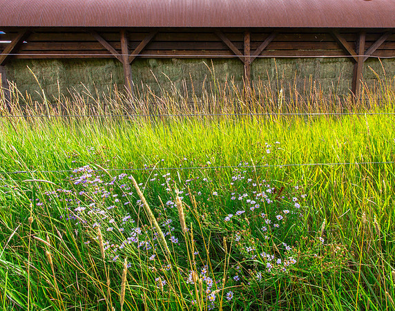 Grasses, Stacked Hay; Ohio Creek