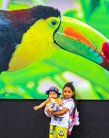 Botanical Gardens, Chapultepec Park