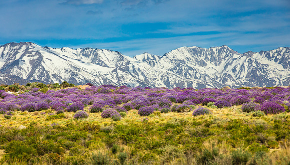 Sierra Nevada Mtns, Lone Pine, CA