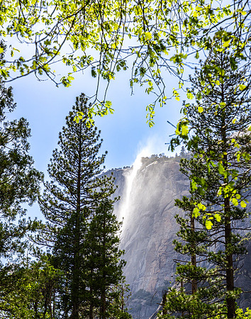Yosemite NP