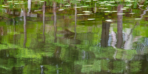 Thousand Island Lake, Michigan UP