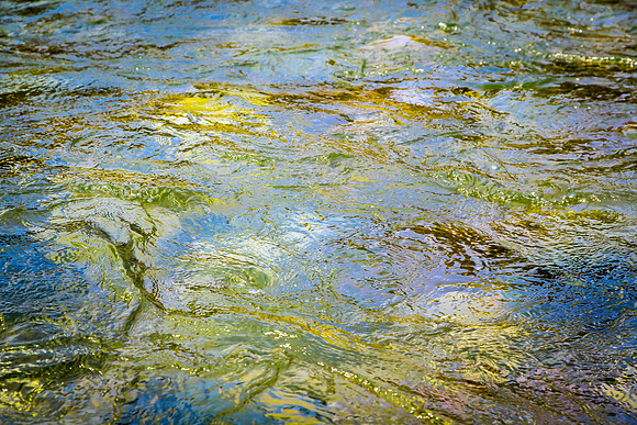 Reflected Light, Riverstones; Snake River, WY
