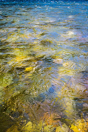 Reflected Light, Riverstones; Snake River, WY