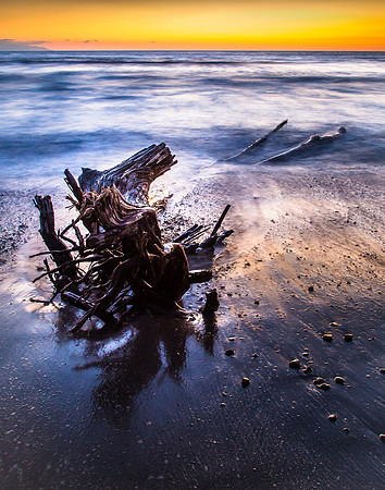 Glistening Driftwood (Houston Photographic Society monthly print competition selection)