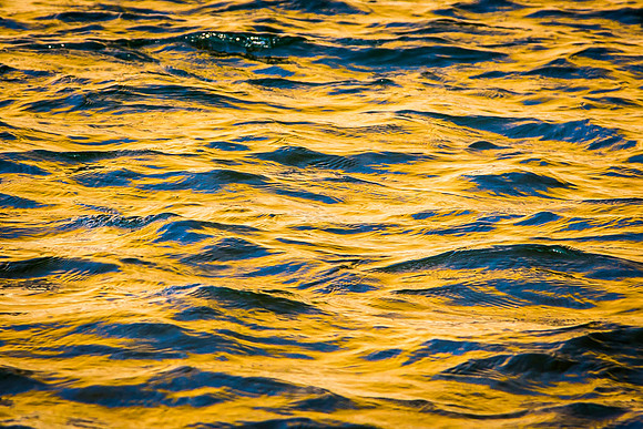 Reflected Light, Snake River, WY