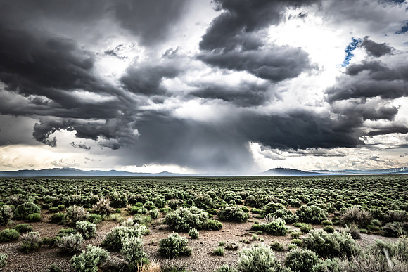 HWY 50 Nevada