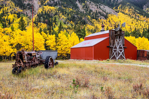 Old Tractor, Golden Aspen