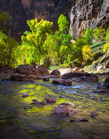 Light in the Canyon, Zion NP