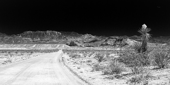 Maverick Road (Panorama), Big Bend National Park
