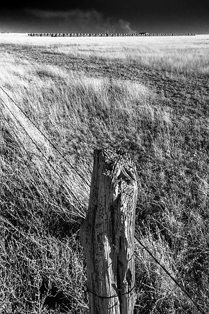 North Texas Farm and Fencepost, East of Amarillo