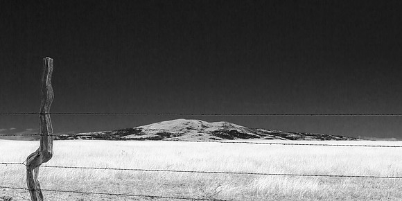 Sierra Grande, Fencepost, NE NM (B&W)