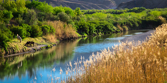 Rio Grande, from Great River Road