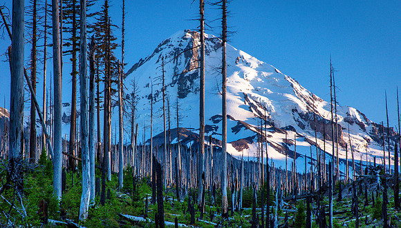 Mount Hood