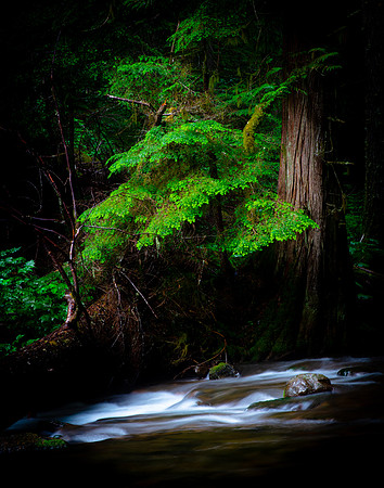 Panther Creek Falls, Oregon