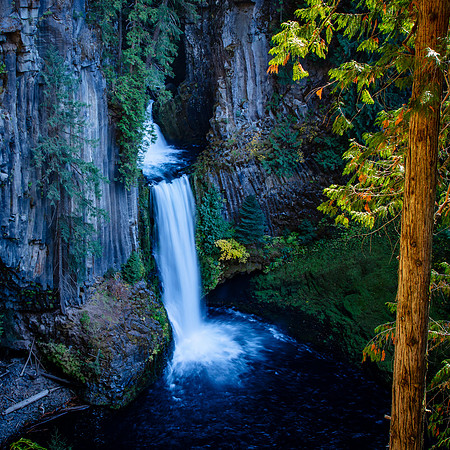 Tokeetee Falls