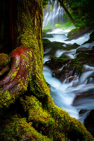 Panther Creek Falls, Oregon
