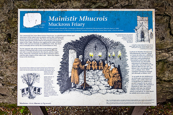 Muckross Friary