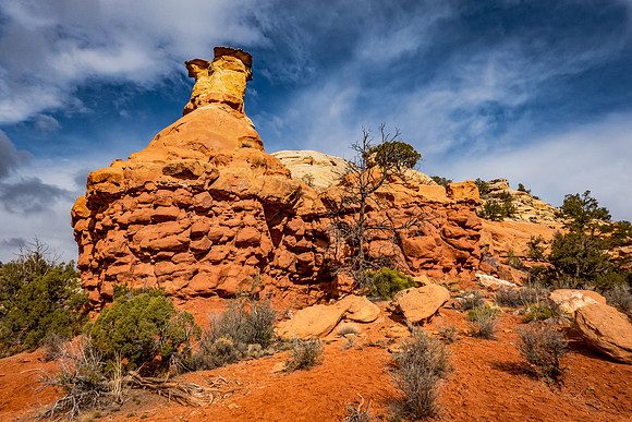 Canyon of the Ancients National Monument