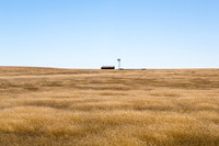 Grasses, Windmill; NE New Mexico