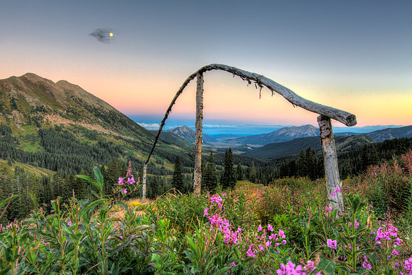 Fireweed, Washington Gulch Valley View at Dusk
