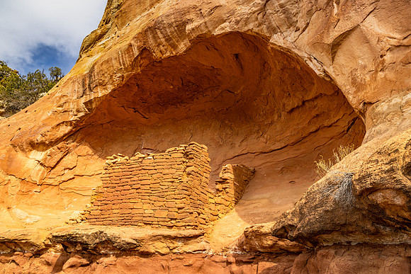Canyon of the Ancients National Monument