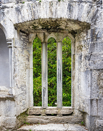 Muckross Friary