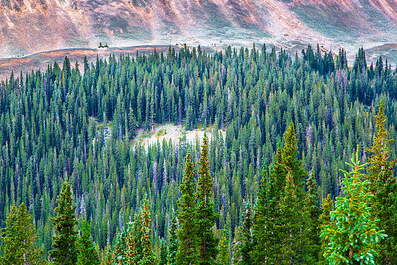 Quartz Mountain and Forest, Cumberland Pass