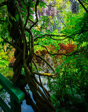 Giverny, Monet's Garden