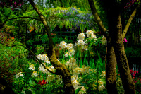 Giverny, Monet's Garden