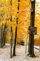 A Winter Sport, Michigan UP