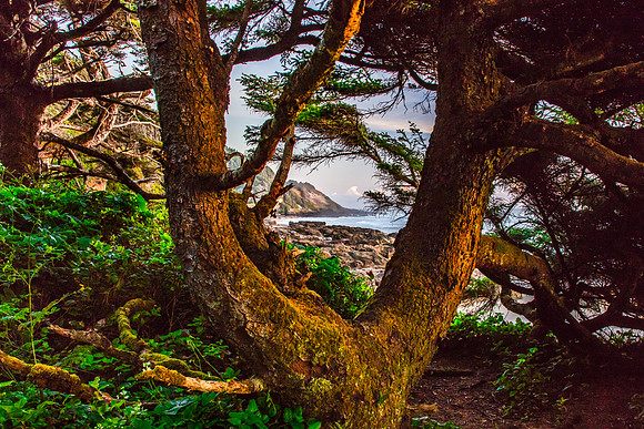 Cape Perpetua, Oregon